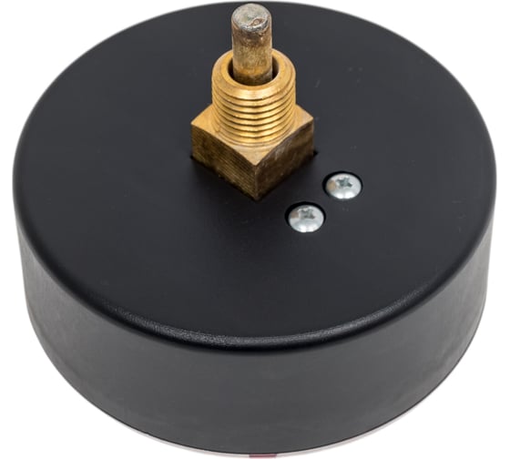 Термоманометр Watts F+R818 аксиальный 80 mm 10018742