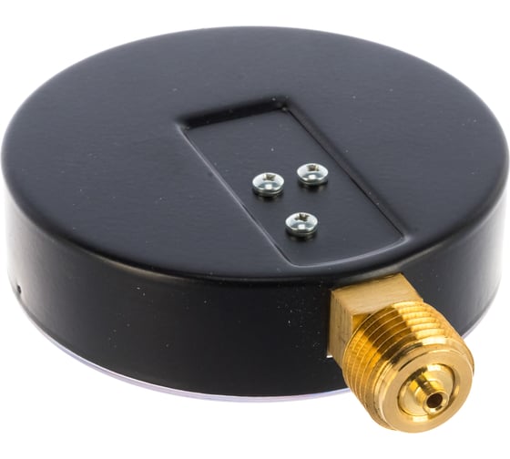 Манометр Watts F+R250 радиальный,  0-16 бар, корпус 100 mm, 1/2" 10008079