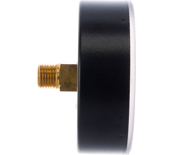 Аксиальный манометр Watts F+R150 0-6 бар, корпус 80 мм 10008023