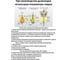 Труба (0.25 м; 110 мм) Прок ПР016600 5