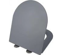 Сиденье для унитаза Weltwasser WW 2049 MT-GR серое матовое 10000006105
