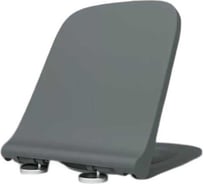 Сиденье для унитаза Weltwasser WW 2238 MT-GR серое матовое 10000006175