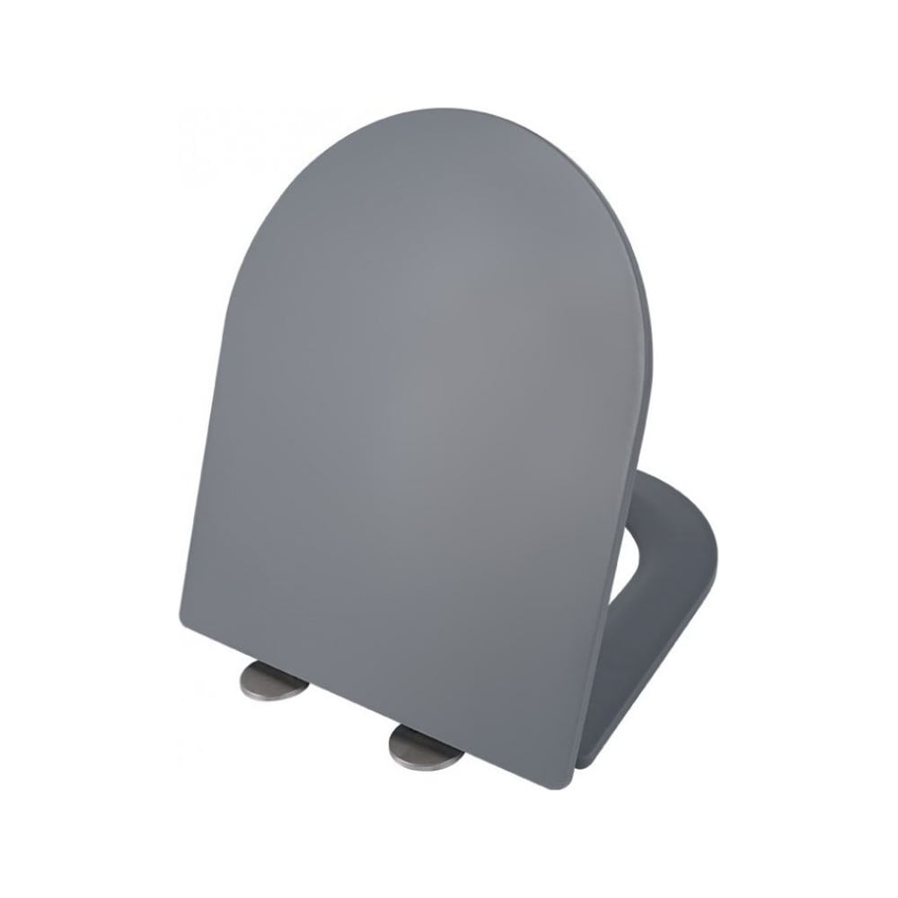 Сиденье для унитаза Weltwasser WW 2312 MT-GR серое матовое 10000006176 ...
