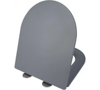 Сиденье для унитаза Weltwasser WW 2411 MT-GR серое матовое 10000006104