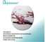 Сиденье для унитаза Delphinium SYM-616 pink new 105062 5