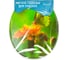 Сиденье для унитаза Delphinium SYL-3005 бабочки new 105068 1