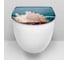 Сиденье для унитаза Delphinium SYM-8026 ракушки new 105057 4
