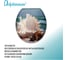 Сиденье для унитаза Delphinium SYM-8026 ракушки new 105057 8