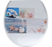 Сиденье для унитаза Delphinium SYL-2016 нежность new 105069