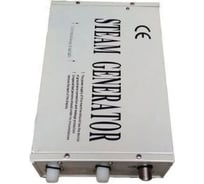 Парогенератор WeltWasser WW 1000 DFZ/D 10000001704