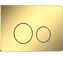 Клавиша смыва Iberica Blanca INOX-O 246x165 мм, шампань/золото глянцевый, нержавеющая сталь IB.B081.006.002