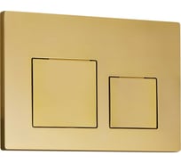 Кнопка слива RGW золото браш, двойной смыв SWH-09Gb 68420009-06