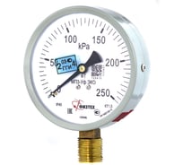 Манометр технический ПО Физтех, АО МП3-Уф исп ЭКО 0-250 кПа кт.1,5 d.100 IP40 G1/2 РШ 4687205178527