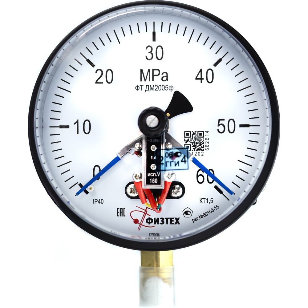 Манометр ПО Физтех, АО ДМ2005ф исп V 0-600 кПа кт.1,5 d.160 IP40 M20*1 ...