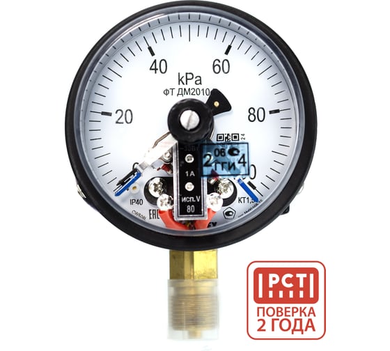Манометр электроконтактный ПО Физтех, АО ДМ2010ф исп V 0-100 кПа кт.1,5 d.100 IP40 M20х1,5 РШ 4687205178183 1