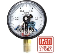 Манометр электроконтактный ПО Физтех, АО ДМ2010ф исп V 0-1 МПа кт.1,5 d.100 IP40 M20х1,5 РШ 4687205178169