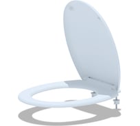 Сиденье для унитаза с микролифтом в индивидуальной упаковке АНИ Пласт WS0120