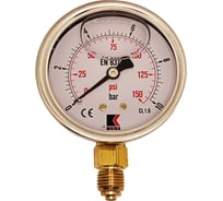 Манометр гидравлический виброустойчивый АРКАИМ WKP1007 на 10 бар, 63 мм, G 1/4" радиальный, глицериновый WKP1007R10D63G14