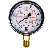 Манометр гидравлический виброустойчивый АРКАИМ WKP1007 на 1000 бар, 63 мм, G 1/4" радиальный, глицериновый WKP1007R1000D63G14