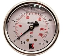 Манометр гидравлический виброустойчивый АРКАИМ WKP1007 на 16 бар, 63 мм, G 1/4" осевой, глицериновый WKP1007O16D63G14