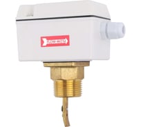 Реле потока BD FS-1R, 1NPT, латунь 1201211001