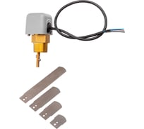 Реле потока BD FS-2R, 1NPT 1201211002