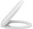 Сиденье JACOB DELAFON PATIO E70021-00 с крышкой soft close, для UJD102-00 00000043254 1