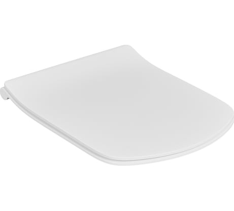 Тонкое сиденье с крышкой ROCA ZRU9302991 DAMA SENSO дюропласт, soft close 00000062009
