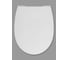 Тонкая крышка дюропласт soft close для унитаза Z.RU93.0.294.3 Roca Leon 00038620 ZRU9302943 11