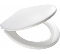 Сидение для унитаза RIDDER Miami белый О2101101