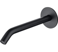 Излив из стены ALLEN BRAU 5.31A18-31 PRIORITY 3.0S латунь, встраиваемый, 166 мм, черный матовый 00323733