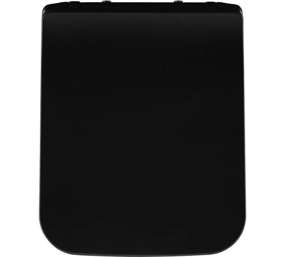 Сиденье для унитаза ALLEN BRAU 4.33008.31 LIBERTY 2 Soft-Close дюропласт черный мат 00312473