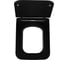 Сиденье для унитаза ALLEN BRAU 4.33008.31 LIBERTY 2 Soft-Close дюропласт черный мат 00312473 2