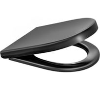 Сиденье для унитаза с крышкой Wirquin Black дюропласт микролифт, быстросъём крепления металл 20985584