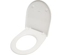 Сиденье для унитаза GEBERIT iCon SLIM плавный спуск, стальные петли 574950000 00000054044