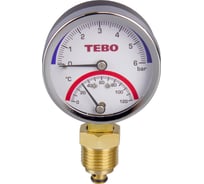 Термоманометр радиальный TEBO 0-6 бар 0-120С 63мм НАР 1/2" T-АБ.Т.503.12.6.CN 34276783