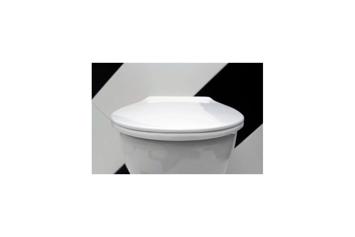 Сиденье для унитаза DinoPlast Alaska 800-10 - выгодная цена, отзывы ...