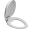 Сиденье с крышкой Laufen Alessi One с механизмом мягкого закрывания 8929710000001 00025015 4