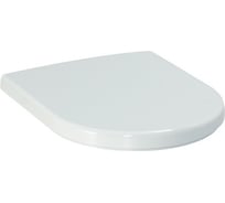 Сиденье-микролифт с крышкой Laufen Pro белое для Rimless, напольного и подвесного 8.9695.1.300.000.1 00024199