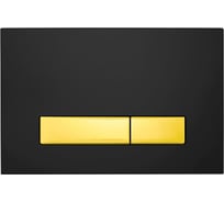 Клавиша смыва Point Меркурий для инсталляции, черная/золото PN44831BG
