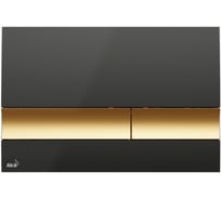 Кнопка управления Alcadrain M1728-5 черная/золотая 00022167