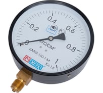 Манометр МЕТЕР ДМ 02-160-1-М Р= 0..1 кгс/см2 М20x1,5 кл.1.5 783