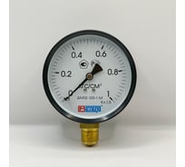 Манометр МЕТЕР ДМ 02-100-1-М Р=0..1 кгс/см2 М20x1,5 кл.1.5 718