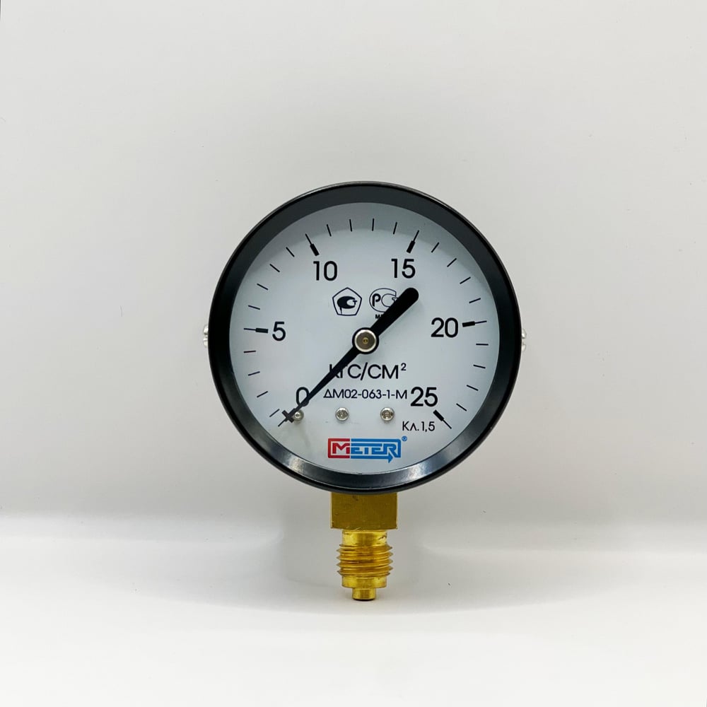 Манометр МЕТЕР ДМ 02-063-1-М Р=0..25 кгс/см2 М12x1,5 кл.1.5 669 ...
