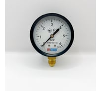 Манометр МЕТЕР ДМ 02-063-1-G Р=0..6 бар G1/4 кл.1.5 634