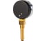 Термоманометр Физтех МПТ 0…120C/0…0,6 МПа кт.2,5 d.80 IP40 G1/2 РШ L64 4687205455468 4