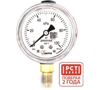 Манометр виброустойчивый Физтех ДМ8008-ВУф исп 1 0-100 кПа кт.1,5 d.63 IP54 M12x1,5 РШ, Глицерин 4687205450074