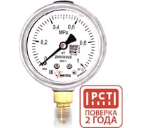 Манометр виброустойчивый Физтех ДМ8008-ВУф исп 1 0-1 МПа кт.1,5 d.63 IP54 M12x1,5 РШ, Глицерин 4687205450029