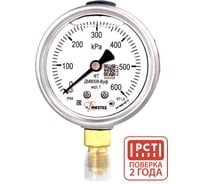 Манометр виброустойчивый Физтех ДМ8008-ВУф исп 1 0-600 кПа кт.1,5 d.63 IP54 M12x1,5 РШ, Силикон 4687205454928