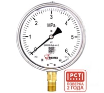 Манометр виброустойчивый Физтех ДМ8008-ВУф исп 2 0-6 МПа кт.1,0 d.160 IP54 M20x1,5 РШ, Силикон 4687205455215